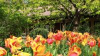 a bunch of flowers in front of a house at La Ferme de Thoudiere in Saint-Étienne-de-Saint-Geoirs