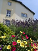 a garden of flowers in front of a house at Hotel &amp; Restaurant Bergfried in Saalfeld