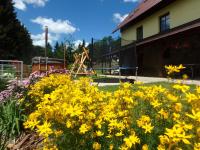 Zahrada ubytování Apartments Večerník Rokytnice