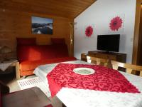 A television and/or entertainment centre at Almblick Appartements