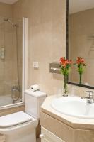 Koupelna v ubytování Suites Barrio de Salamanca