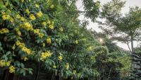 Gallery image of Crossing The Rainbow Bridge B&amp;B in Chongde