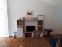 Televízia a/alebo spoločenská miestnosť v ubytovaní Apartments Horvat on Island Pag