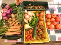 una mesa con cestas de frutas y hortalizas. en Hotel Albergue Bioclimático Sabinares del Arlanza, en Puentedura
