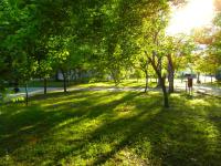 Zahrada ubytování Camping Orpheus Apartments