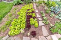 A garden outside Solaia Hotel & Guesthouse