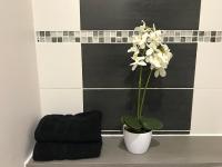 a vase with white flowers and a black towel at Lumineux T2 Vieille ville 3 pers parking gratuit - by La Source d&#39;OrFée in Boulogne-sur-Mer