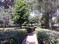 a path through a park with trees and bushes at a due passi dal mare in Diamante