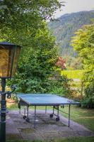 Stolní tenis v ubytování Landhaus Danita nebo okolí