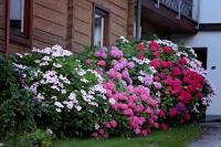 Zahrada ubytování Landhaus Danita