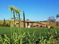 A garden outside Agriturismo La Fonte
