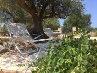 Vonkajšia záhrada v ubytovaní Le Biadelle - Country Boutique Apartments - Villa Laura Ostuni