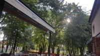Zahrada ubytování Park Rooms