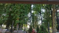 Zahrada ubytování Park Rooms