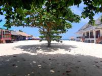 a tree in the middle of a beach at Nice Sea Resort in Srithanu