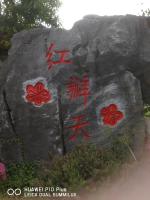 溪頭紅瓣天民宿評價、特色體驗、包棟服務與房價資訊 – 溫馨日式庭園包棟 - 照片 5