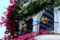 Zahrada ubytování Pension El Torreon