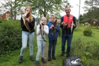 Hosté ubytování Velfjord Camping & Hytter