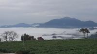 a foggy field with mountains in the background and trees at TFG B&amp;B in Lugu Lake