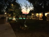a backyard at night with a palm tree and lights at Villa « CHANTERIE » in Villecroze