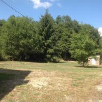 a tree in the middle of a field at Meublé de tourisme &quot;Les brosses tillots&quot; in Mary