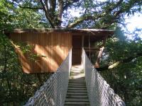 a suspension bridge in a forest with a tree at Les Ecolodges de l&#39;Orbière in Forcé