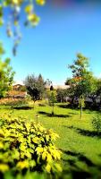 Zahrada ubytování B&B "Madama Granèt"