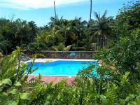 a swimming pool with palm trees in the background at Le four à pain in Saint-Philippe