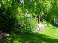 a garden with a tree and some grass and flowers at Villa Jani b&amp;b in Breitscheid