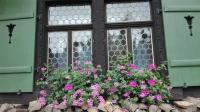 Zahrada ubytování Apartment Chalet Kladska