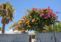 A garden outside VILLA OLIVEIRA by Buenavilla