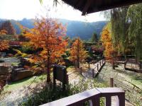 Gallery image of Tai-Yi Red Maple Resort in Puli