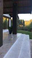 a cat laying on a patio of a house at Hotel El Paso in Vejer de la Frontera