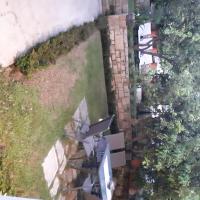 A garden outside Cactus