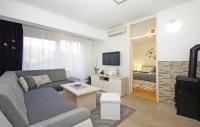 Televízia a/alebo spoločenská miestnosť v ubytovaní Apartman Jurilj