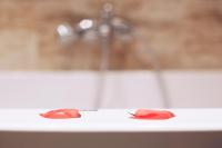 Půdorys ubytování Cleopatra Spa Hotel