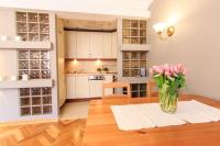 Kuchyňa alebo kuchynka v ubytovaní Rental Apartments Szeroki Dunaj