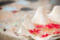 a close up of a white flower with red flowers at Oon Lee Bungalows in Ko Jum