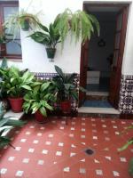 a room with potted plants on the floor at Casa Rural La Verdura in Ubrique