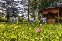Vonkajšia záhrada v ubytovaní Parkhotel Hirschwang