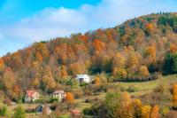 Príroda v okolí apartmánu