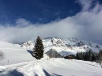 Pension-Greimelbacherhof during the winter
