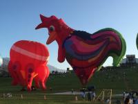 a group of hot air balloons in a field at Winnie Homestay in Longtian