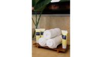 Grundriss der Unterkunft Cheeca Lodge &amp; Spa