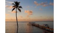 eine Palme und ein Pier im Ozean in der Unterkunft Cheeca Lodge &amp; Spa in Islamorada