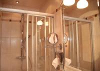 a bathroom with a shower and a mirror at Retzerlandhof Familie Graf in Zellerndorf