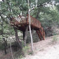 Táj Show holiday homes közelében