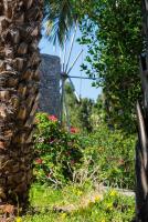 A garden outside Authentic Cretan Stone Windmill