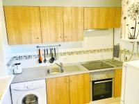Kuchyň nebo kuchyňský kout v ubytování Apartment Aguila Real