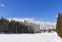 Echigo-Yuzawa Accommodation Guide 2026: 16 Ski and Hot Spring Hotels in Yuzawa, and How to Choose Station Area, Hillside or Slopeside
